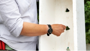 Cách trồng rau sạch trong thùng xốp đơn giản - 2