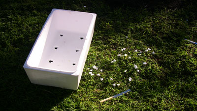 Cách trồng rau sạch trong thùng xốp đơn giản - 3