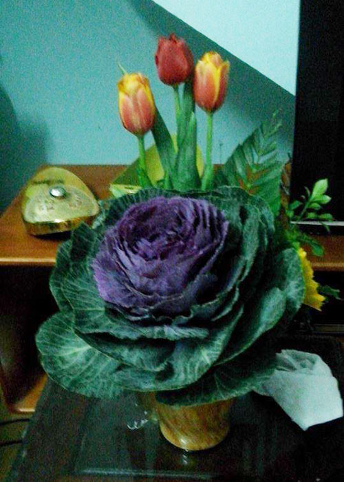 Chị em đua nhau săn hoa hồng sa mạc giảm béo, đẹp nhà - 3