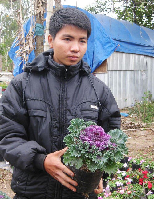 Chị em đua nhau săn hoa hồng sa mạc giảm béo, đẹp nhà - 5