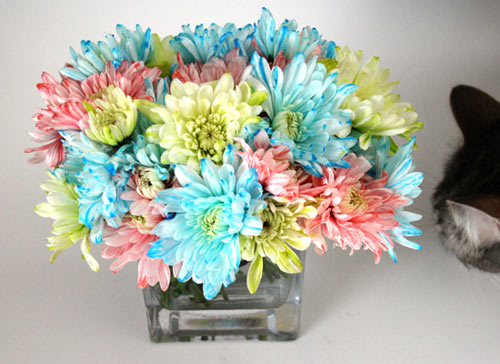 Bí quyết nhuộm màu hoa rực rỡ đón Tết - 9