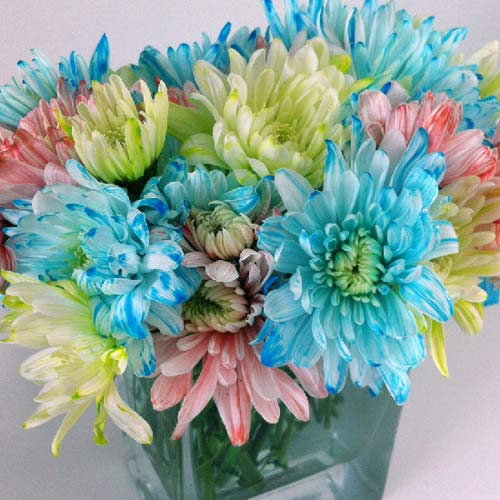 Bí quyết nhuộm màu hoa rực rỡ đón Tết - 8