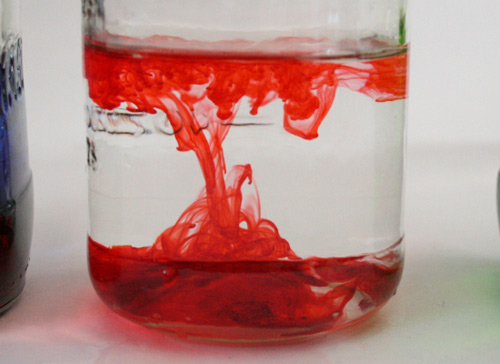 Bí quyết nhuộm màu hoa rực rỡ đón Tết - 1