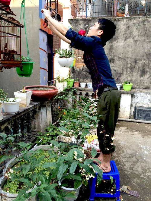 Vườn 20m2 đủ trồng cây, thả cá, nuôi gà ở Hoàn Kiếm - 11