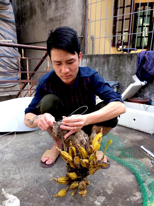 Vườn 20m2 đủ trồng cây, thả cá, nuôi gà ở Hoàn Kiếm - 12