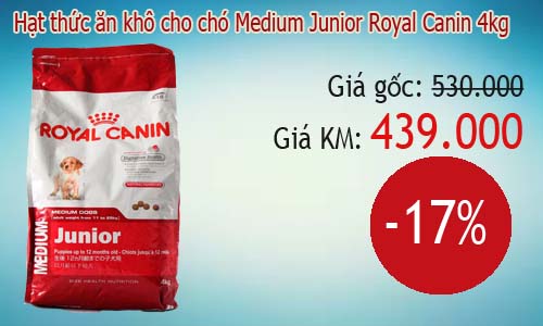 “Chấm điểm” 4 lý do bạn nên mua thức ăn cho Pet tại Deca - 3
