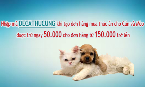 “Chấm điểm” 4 lý do bạn nên mua thức ăn cho Pet tại Deca - 5