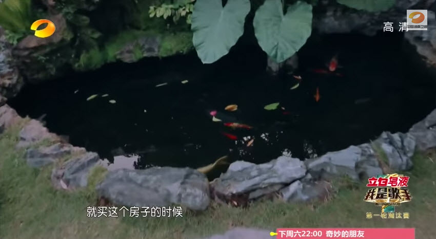 Cổ Cự Cơ rơi nước mắt khi nghĩ về vườn nhà của cha - 9