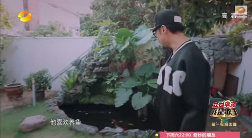 Cổ Cự Cơ rơi nước mắt khi nghĩ về vườn nhà của cha - 8