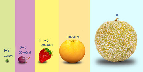 Sự thật “giật mình” về kích thước dạ dày trẻ - 1