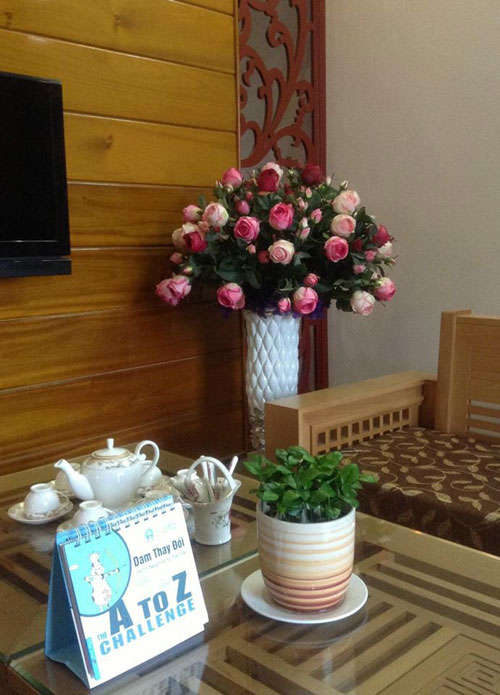 Yên Bái: Bán nhà phố, mua nhà ngõ để trồng 100 cây hoa - 7