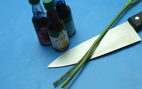 Không cần bỏ triệu đồng có ngay hoa hồng bảy sắc - 9