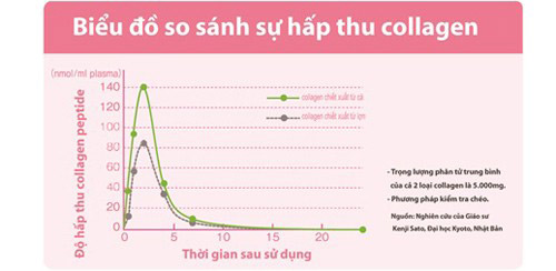 Cách bổ sung collagen thông minh - 1