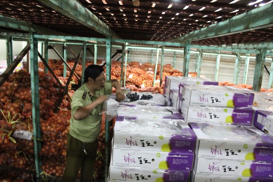 Tạm giữ hơn 55 tấn củ - quả Trung Quốc, Hàn Quốc - 1
