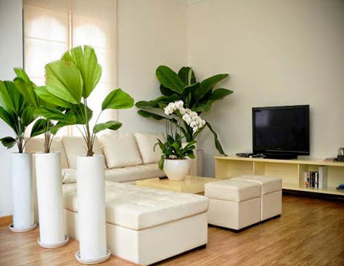 Chú ý nhà cửa ngày Tết để hóa sát, chiêu tài - 4
