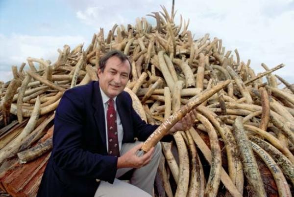 Nam tài tử Brad Pitt hào hứng đóng phim của vợ - 2