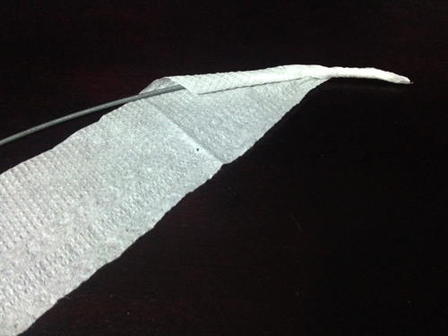 Tốn 40.000 đồng có ngay 10 cây bạch đào đắt giá - 1