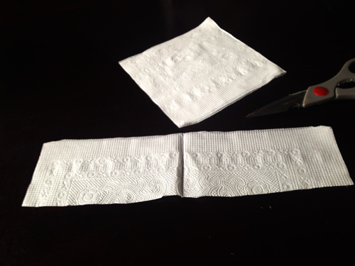 Tốn 40.000 đồng có ngay 10 cây bạch đào đắt giá - 3