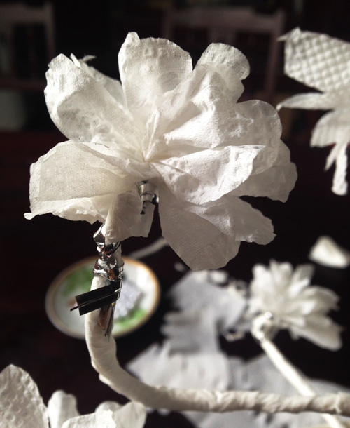 Tốn 40.000 đồng có ngay 10 cây bạch đào đắt giá - 9