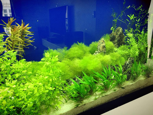 Lã Thanh Huyền hào hứng khoe nhà chung cư sang mới tậu - 9