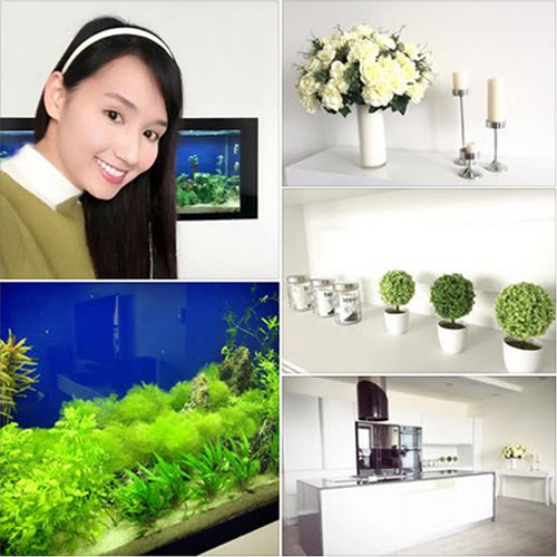 Lã Thanh Huyền hào hứng khoe nhà chung cư sang mới tậu - 1