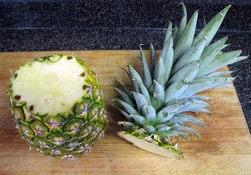 Dứa cảnh trồng bát thơm mát cả nhà - 3