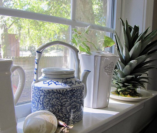 Dứa cảnh trồng bát thơm mát cả nhà - 6