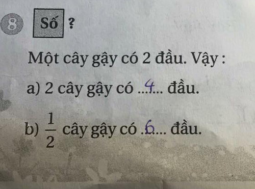 Tranh cãi bài toán #039;tính số đầu của 1/2 cây gậy#039; - 1