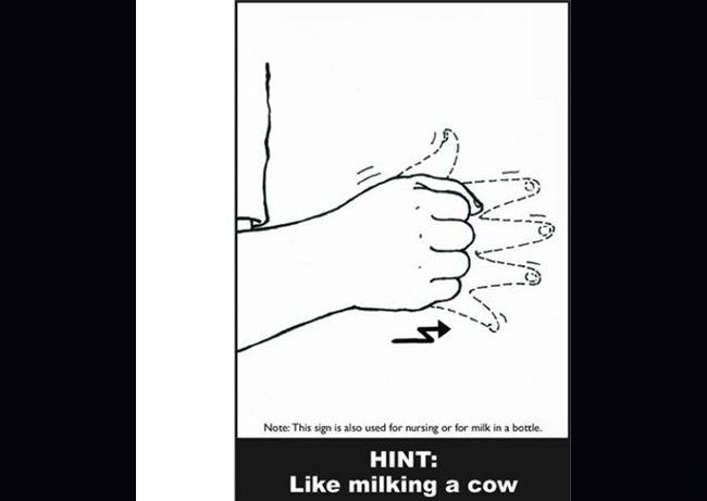 Mẹ cho con bú sữa nhé

Ký hiệu: Giả bộ như đang vắt sữa bò

Khi ra ký hiệu này mẹ nên nhớ ngữ cảnh đóng vai trò rất quan trọng. Hãy ra hiệu từ “sữa” trong khi cho bé bú sữa chứ đừng dùng ký hiệu này khi mẹ đang làm những việc khác.
