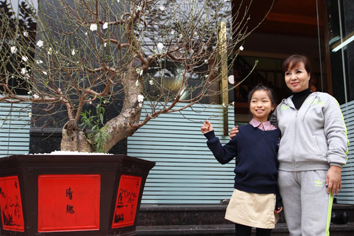 Đào tuyết cổ thụ độc nhất của nữ đại gia Hà thành - 5