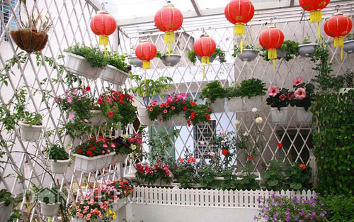 Vườn hoa xuân tuyệt đẹp trên ban công 15m vuông - 2