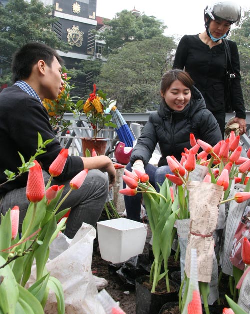 Tulip Việt giá 30 nghìn hút người mua - 4