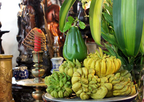 Bưởi Bàn Tay Phật - Lợi Ích, Cách Trồng và Ý Nghĩa Tâm Linh