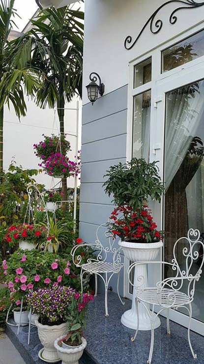 Ngắm vườn hoa tuyệt đẹp của nữ giảng viên ở TPHCM - 3