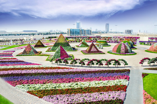 Công trình rộng 72.000 m2 này có tới hơn 45 triệu loài hoa.
