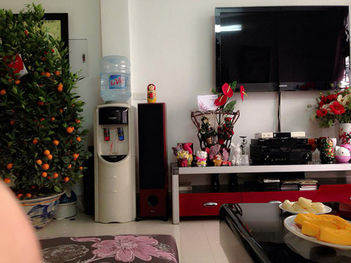 Phòng khách rực rỡ hoa đầu năm của ca sĩ Ngọc Anh - 5