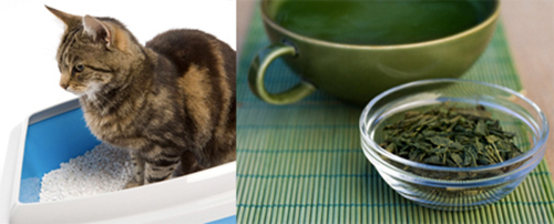 11 mẹo tự nhiên giữ nhà thơm mát quanh năm - 11