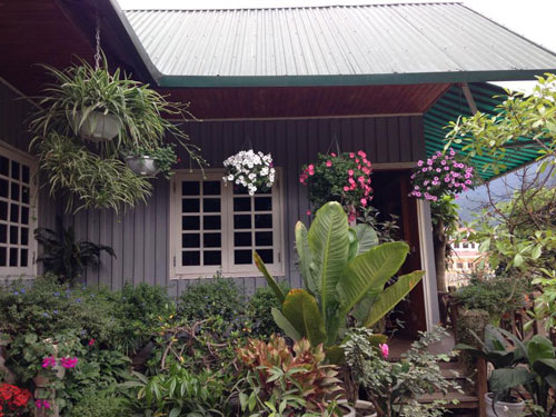 Vườn hồng đẹp như tranh của cô giáo Hà Giang - 1