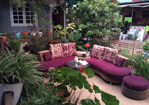 Vườn hồng đẹp như tranh của cô giáo Hà Giang - 2