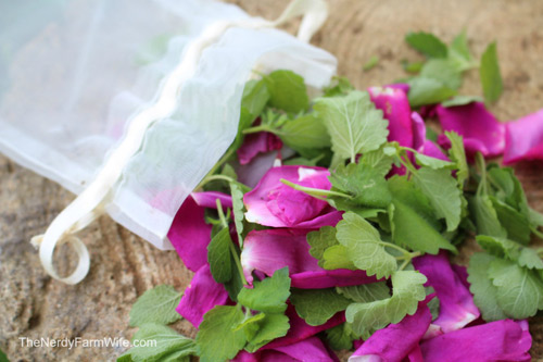 Tía tô đất mẹ trồng cho bé ăn khỏe, ngủ ngon - 4