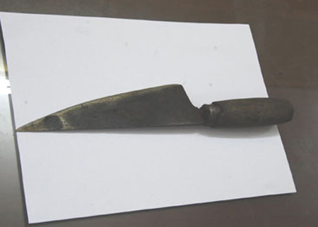 Sát hại vợ đúng ngày 8.3 rồi uống thuốc sâu tự tử - 1