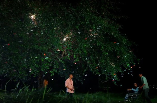 Clip chuyện tình cảm động của nữ sinh bị ung thư - 2