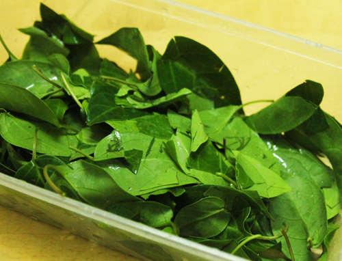 Canh gà lá giang bổ dưỡng cuối tuần - 4