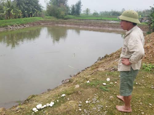 Nỗi đau ở làng ung thư xứ Nghệ - 1