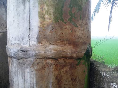 Nỗi đau ở làng ung thư xứ Nghệ - 4