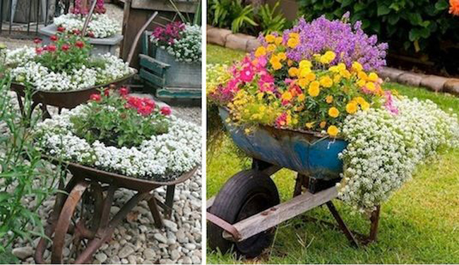 Sau khi xây nhà, gia đình có thể tận dụng xe đẩy để trồng hoa.
