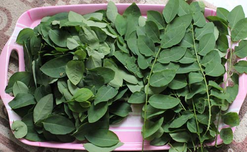 Ba tác dụng phụ của rau ngót bạn cần biết - 1