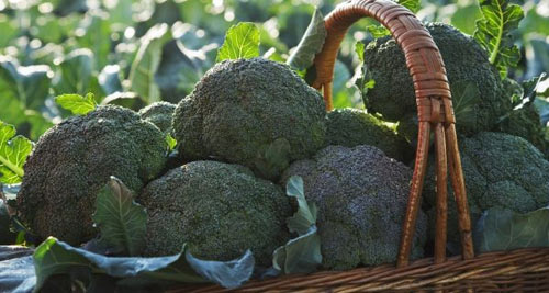 Những loại rau củ cực tốt cho bà bầu - 4