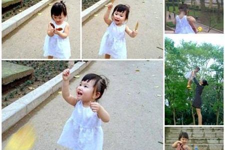 Mẹ Hà Nội xót xa khi các con lớn lên không còn bóng mát - 2
