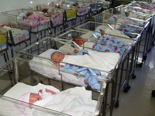 Mang thai hộ: Hy vọng và lo lắng - 1